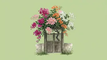 Hoa giấy bên hiên