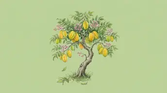 Cây khế tuổi thơ