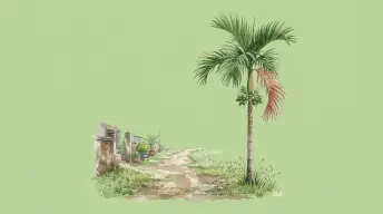 Cây cau trước ngõ